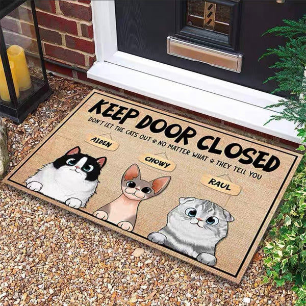 Stylishly Modern Door Mat With Anti-Skid Technology And Low Profile Design