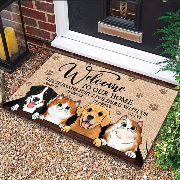 Customizable Durable Door Mats With Water Absorption And Quick Drying Functionality